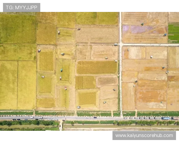 湘超联赛最新动态分析 湖南本土球队赛季表现回顾 湘超联赛最新动态分析 湖南本土球队赛季表现回顾